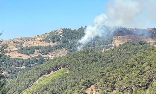 İzmir'de orman yangını!